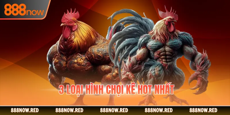 3 loại hình chọi kê hot nhất