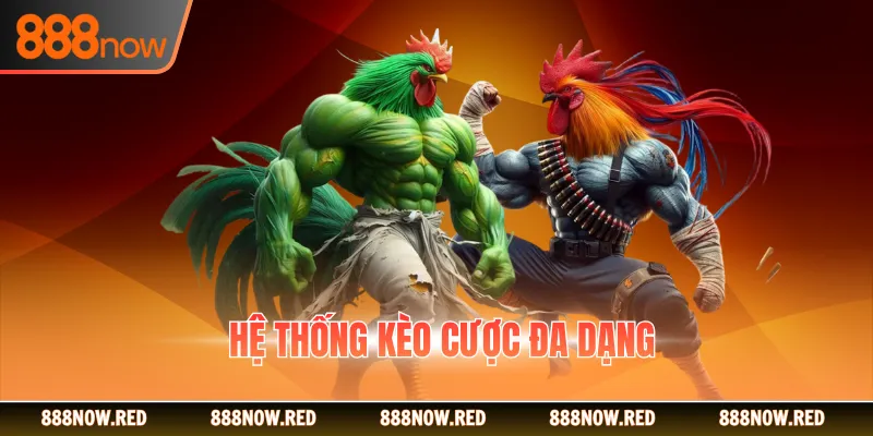 Hệ thống kèo cược đa dạng