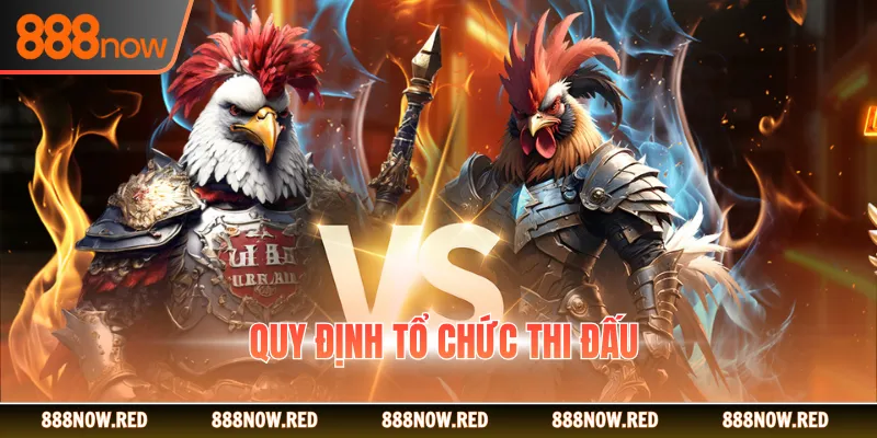 Quy định tổ chức thi đấu